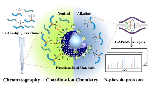 大連化物所開發n磷酸化蛋白質組深度覆蓋分析新方法