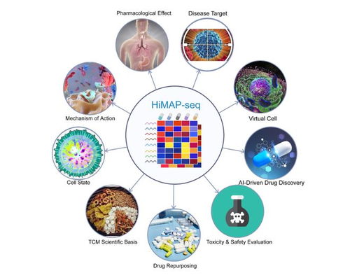 王棟、鄧赟與許俊泉團(tuán)隊(duì)開(kāi)發(fā)HiMAP-seq新技術(shù)并構(gòu)建三億量級(jí)藥物基因表達(dá)數(shù)據(jù)庫(kù)CIGS，引領(lǐng)生物技術(shù)新前沿